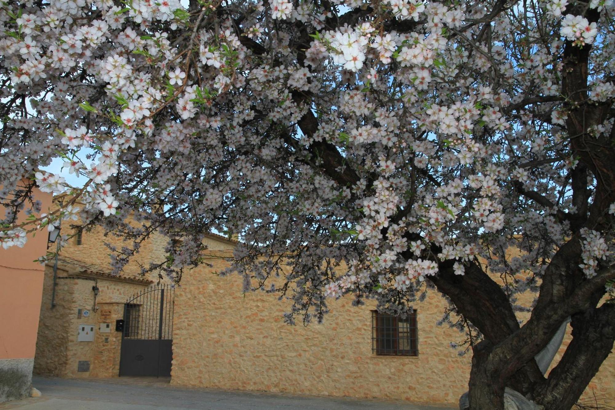 Alojamientos Rurales Cortijo Las Golondrinas Alhama de Murcia Exterior foto