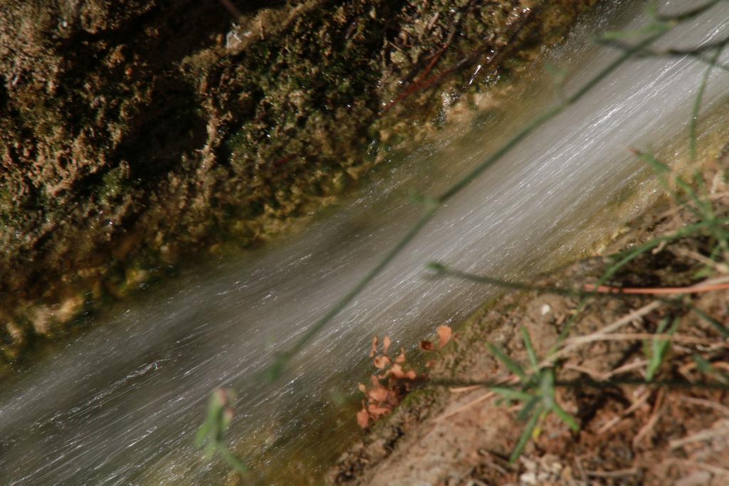 Alojamientos Rurales Cortijo Las Golondrinas Alhama de Murcia Exterior foto