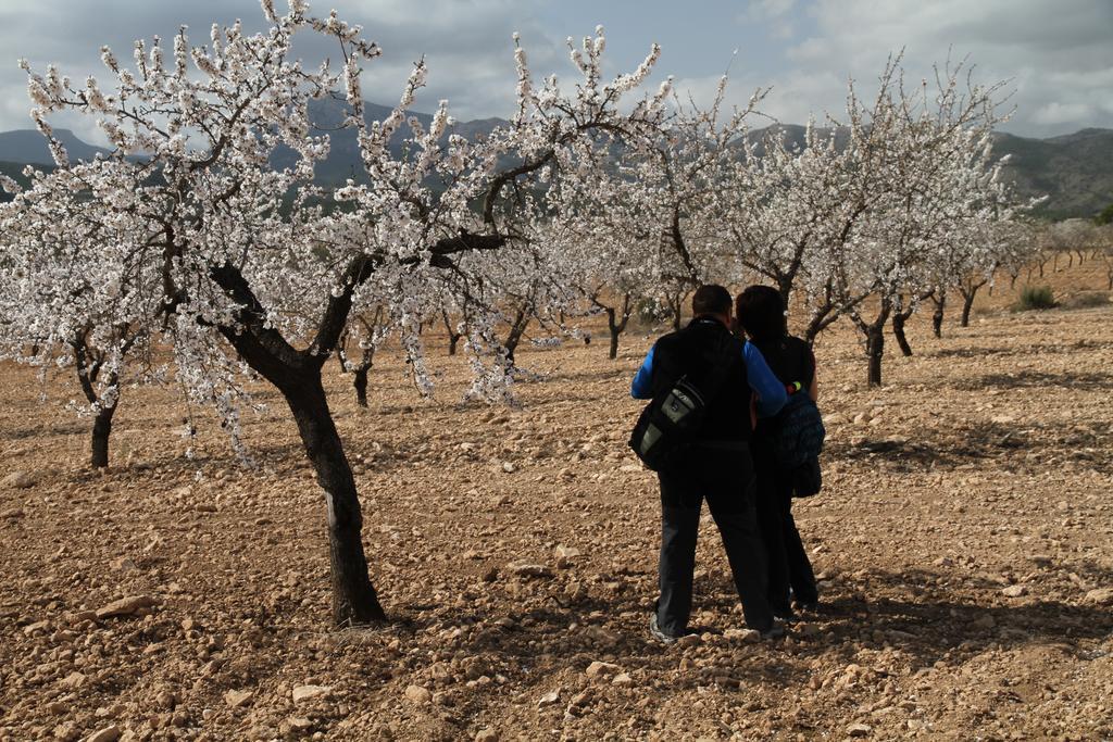Alojamientos Rurales Cortijo Las Golondrinas Alhama de Murcia Exterior foto
