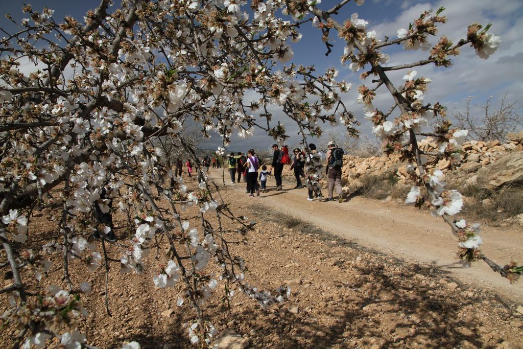 Alojamientos Rurales Cortijo Las Golondrinas Alhama de Murcia Exterior foto