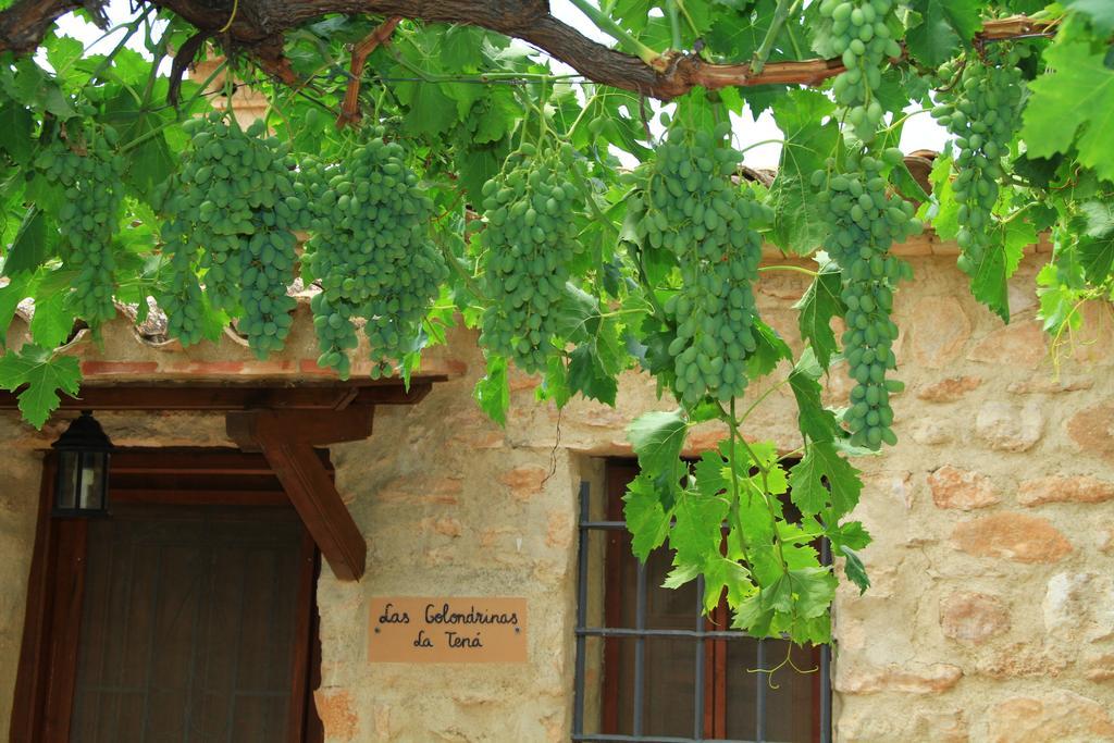 Alojamientos Rurales Cortijo Las Golondrinas Alhama de Murcia Exterior foto